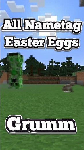 Minecraft - All Nametag Easter Eggs