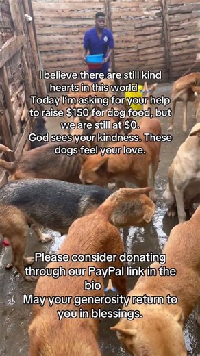 If you can, please donate through our PayPal link in the bio 🙏🏼If you can’t donate, please share