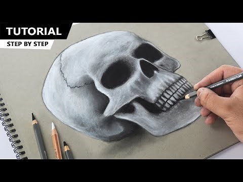 Easy Human Skull Drawing for BEGINNERS