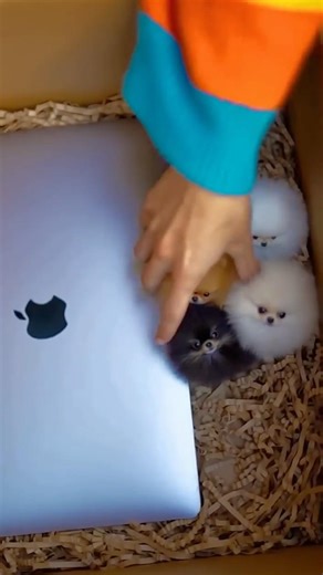 The drone left a box here at my house and you won't believe what was inside... 😱📦❤️