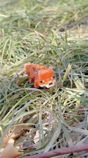 No, this is too cute. Three-dimensional bean puzzle. Minecraft. Little fox. Cute. Travel to the