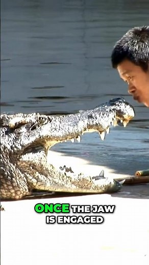 This Hunting Technique Makes Saltwater Crocodiles Nearly Invisible #shorts #predator #wild