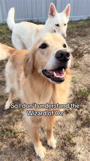 Understanding Wizard of Oz Through Comedy