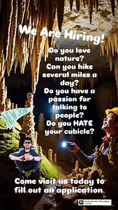 Come work at Inner Space Cavern!! #jobs #georgetowntx #georgetowntxjobs | Inner Space Cavern