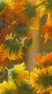 🧡 There’s an art to harvesting and working with Calendula. This beautiful herb is thoughtfully hand-harvested from our Regenerative Organic Certified® farm and from our trusted partnering organic farms. We use it in everything from liquid herbal extracts to salve. We take extra care to only harvest the flower, not the stem. Once harvest is complete, some of the Calendula is extracted fresh, and the remainder is spread on screens and dried. Perfection! #herbpharm #herbalism #calendula | Herb Pha