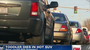 Numbers show reality of hot car deaths