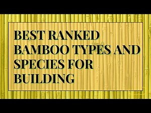 THE BEST RANKED BAMBOO TYPES AND SPECIES FOR BUILDING