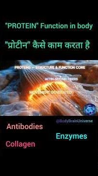 Protein Sirf Muscle Ke Liye Nahi! | Protein Functions in Human Body Explained