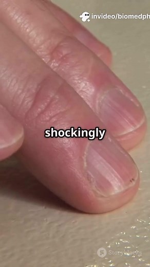 Discover How Your Fingers Sense the World Around You