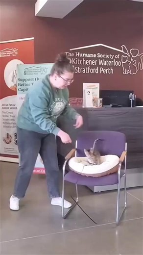 17K views · 286 reactions |  In today’s episode of “Wellness Tips...