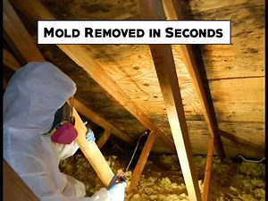 World's Fastest Mold Stain Remover! Done in 15 Seconds. Works on Wood - Concrete - Drywall & More | RMR Solutions, LLC