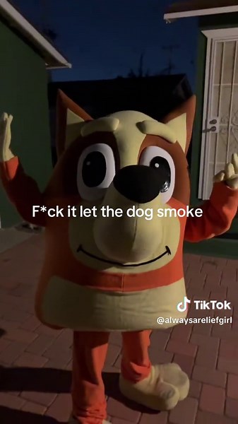 F*fk it | the dog meme