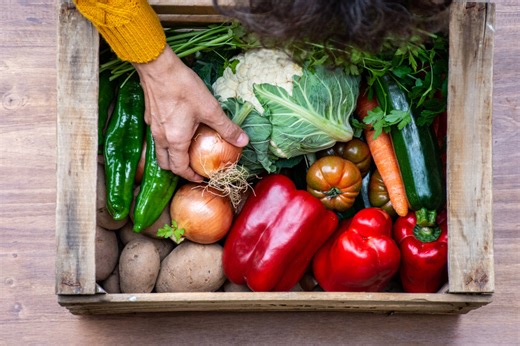 Cebolla dulce: qué es, en qué se diferencia del resto de cebollas y 14 recetas en la que usarla