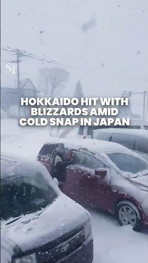 Hokkaido blanketed by blizzards as cold winter snap hits Japan