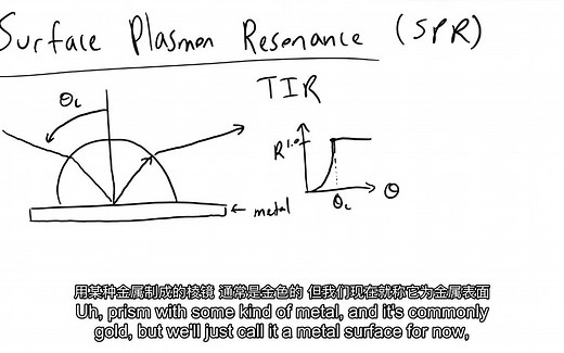 Surface Plasmon Resonance SPR（表面等离子体共振）