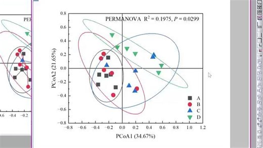软件直接出图？Origin绘制PCoA等降维分析图