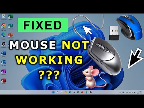 How to Fix Mouse Not Working ? Windows 10/11 ✅️ Solved ✅ ( PC, Laptop, Desktop, Computer )