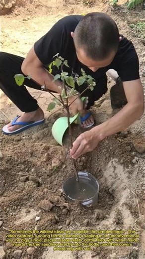Crazy Tree Planting Hack 🌱↓ Plastic Bottle Trick Saves Water & Time