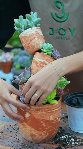 Succulent planting ideas // Joy Garden