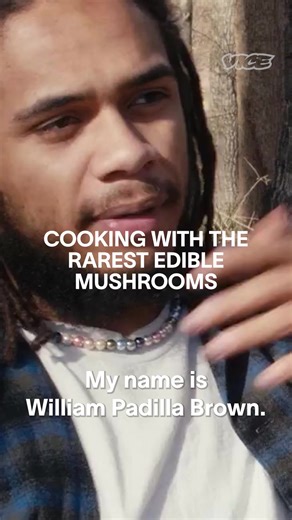 10K views · 147 reactions | William Padilla-Brown made waves as the first American to grow cordyceps, a rare orange mushroom that grows from the larvae of insects. He advocates growing your own mushrooms as a means for both food and education. | Munchies | Facebook