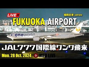🟢LiVE Fukuoka (FUK) Airport Plane Spotting✈️福岡空港ライブカメラ JAL 国際線 B77W oneworld飛来！Mon. 28 Oct. 2024