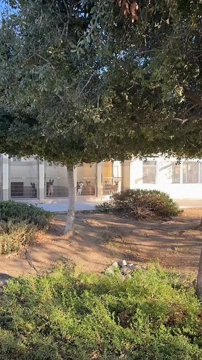 We need your help. Right now, our kennels are full. Every day, new dogs arrive to wait for their forever home. We are over 200% capacity and we need fosters and adopters to show up at all of our shelters. Our goal is to get 30 big dogs out by this Thursday to make much needed space in our kennels. If you’ve been considering adoption or fostering, we ask that you give RivCo shelter pets a chance. To help get pets into homes, all adoptions are free of charge at all shelter locations. If you can’t 