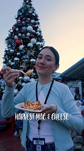 7.5K views · 66 reactions | POV: You're indulging in all the holiday flavors 朗 Feast your way through SeaWorld’s Christmas Celebration with the Festive Food & Sip Sampling Lanyard! What's your favorite menu item this year? | SeaWorld Orlando | Facebook