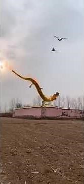 Real dragon in China