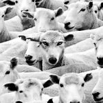 Information Hiding: Challenges For Forensic Experts