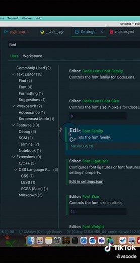 Guide to Nerd Fonts for VS Code