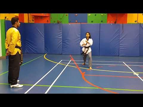 Taekwondo Poomsae 8