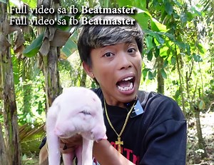 BeatMaster Official: The Ultimate Music Production Platform