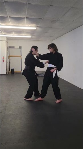 Xing Yi Elemets striking drill #kungfu #chinesemartialarts #xingyi