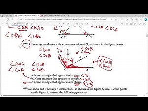 Final Course Grade 6 Term 3 Questions & Answers