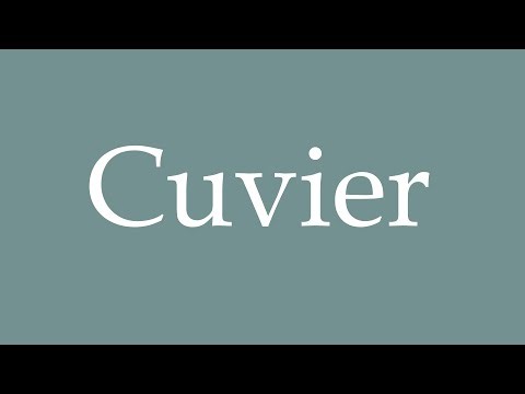 How to Pronounce ''Cuvier'' Correctly in French