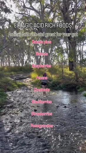 Ellagic acid rich foods for gut health #guthealth #nutrition #nutritionist