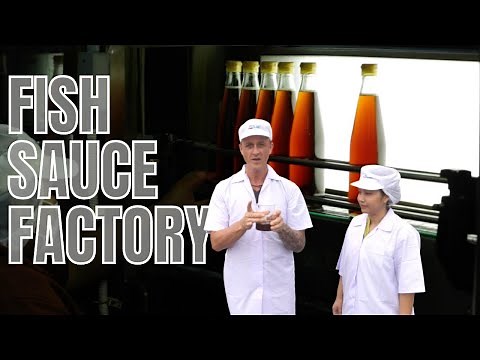 How fish sauce is made, Megachef Factory