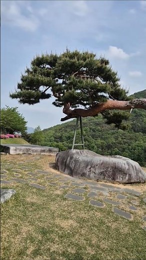 산청 가볼만한곳 동의보감촌. 동의보감의 가치를 알리기위해 조성된곳으로 다양한 한방체험과 전시를 즐겼네요. 오는길마다 좌,우 경계석의 꽃잔디가 예쁘네요. 2026년 4월 27일