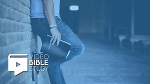 Check out what's happening on our Youtube channel! Subscribe to keep up with the latest releases. https://www.youtube.com/playlist?list=PL5PRBmfLF47WP7EvJXJ8aKzwKtpElsYL5 | Little Light Studios