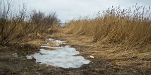 November 29: Facts & Historical Events On This Day - The Fact Site