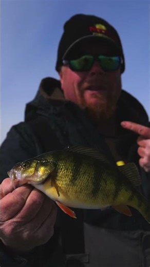 Twitchin' Puppet — New this ICE SEASON!