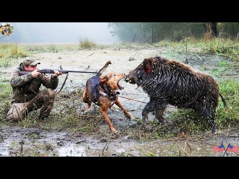 Most Explosive Wild Boar Hunt Ever | Pounding Survival Battle - Hunters Ambushed by a Furious Herd