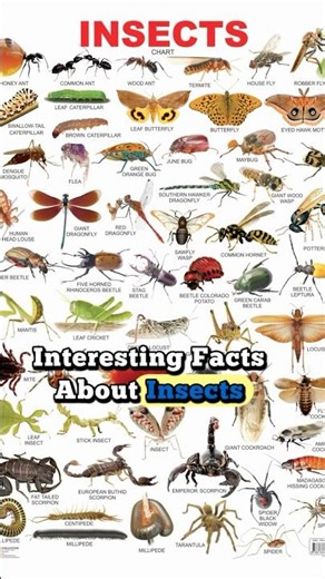 Mind-Blowing Facts about Insect 🐞🤯 You Won’t Believe #part2 #facts #insects #daily #viral #foryou