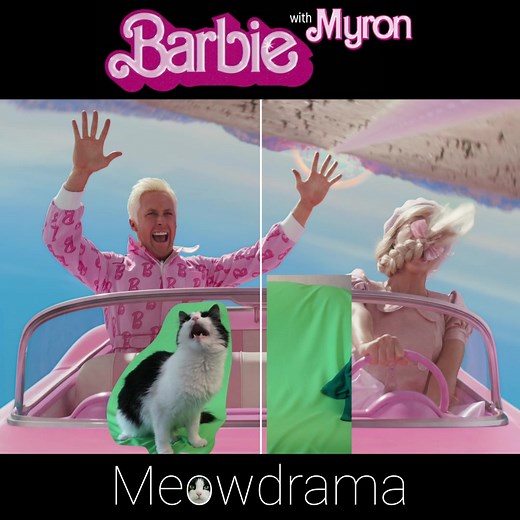 Barbie with a Cat (Behind the Scenes)