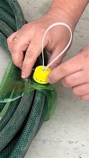 Easy DIY Garden Hacks for Healthy Plants 🌱