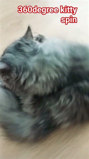 #kawaii #cute ur time to explode