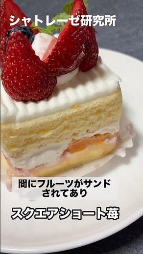 ケーキ好きは見て‼️シャトレーゼ商品第45弾【スクエアショート苺】