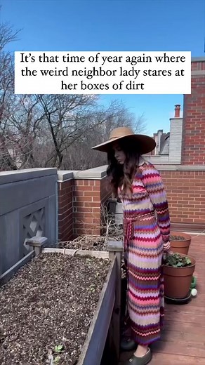 Embracing my status as the weird neighbor! #garden #gardening #containergardening #containergarden #urbangarden #smallgarden