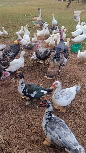 Show me the reason you have no money! #relatable