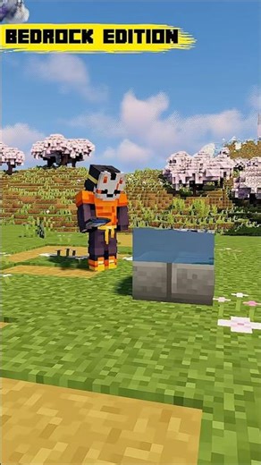 So today we find how java edition different from bedrock edition #minecraft #minecraft shorts